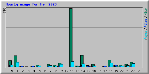 Hourly usage for May 2025