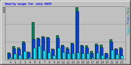Hourly usage for July 2025