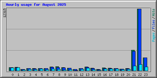 Hourly usage for August 2025