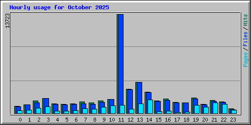 Hourly usage for October 2025
