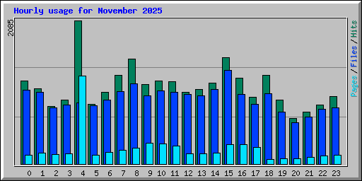 Hourly usage for November 2025