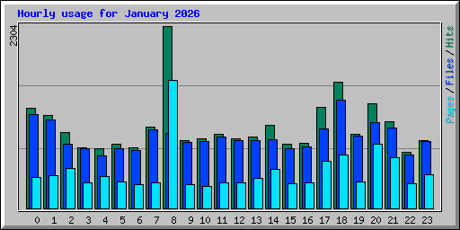 Hourly usage for January 2026