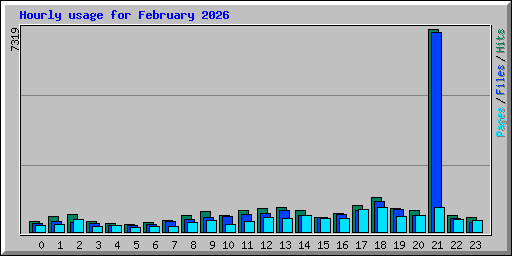 Hourly usage for February 2026